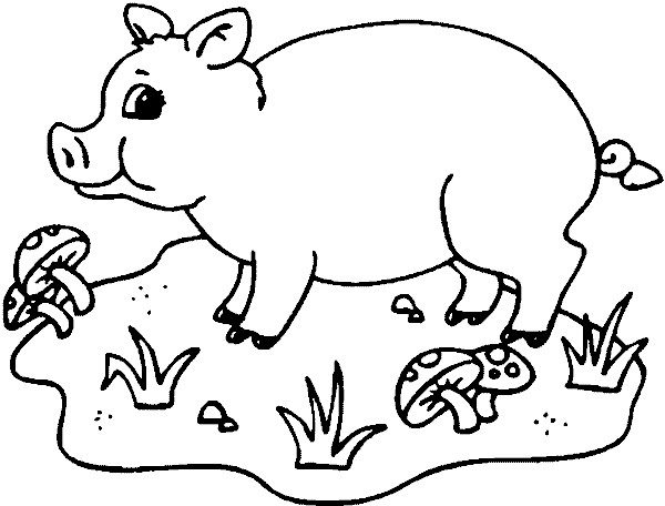Ausmalbilder Schweine
 Schwein