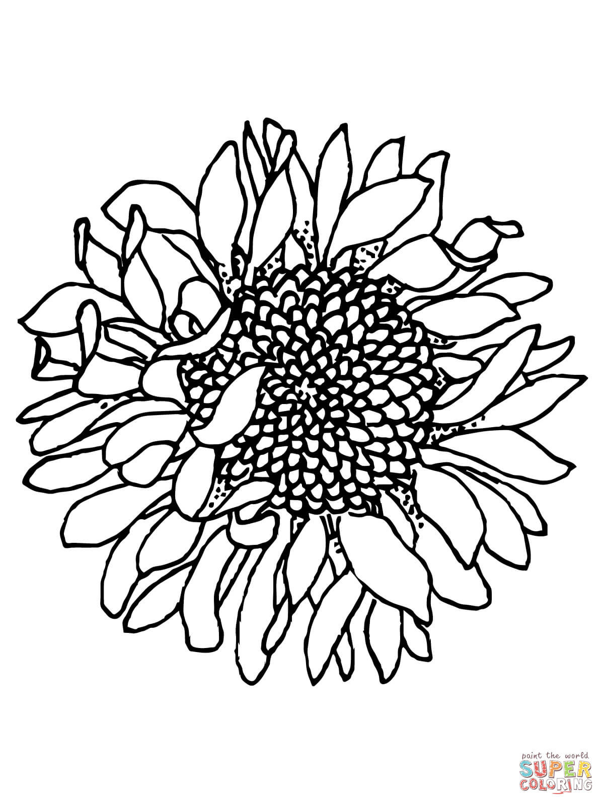 Ausmalbilder Sonnenblume
 Kostenlos Sonnenblumen Malvorlagen