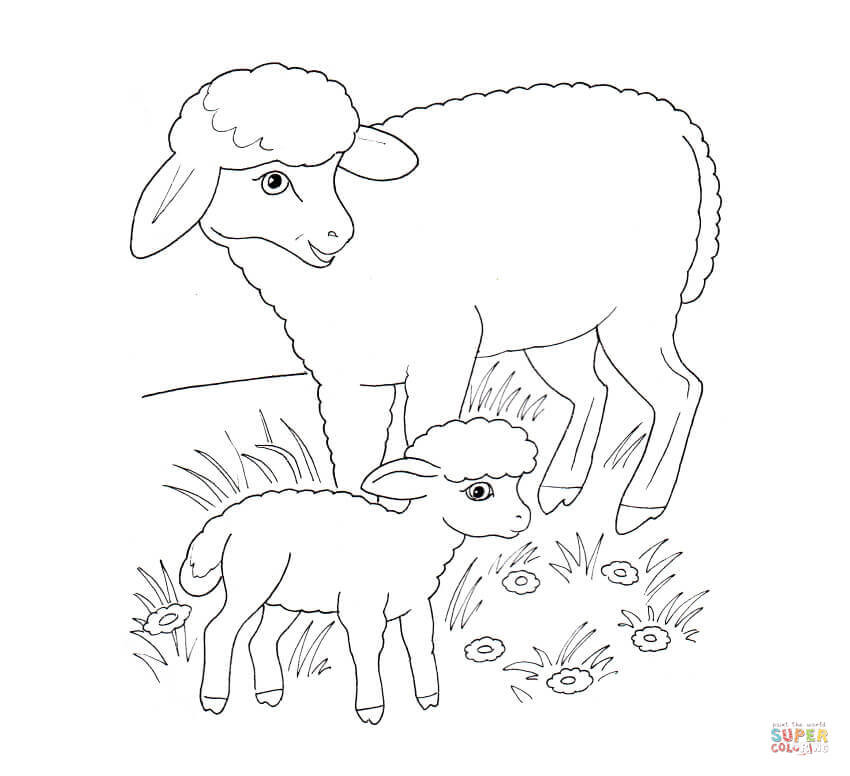 Ausmalbilder Tierbabys
 Ausmalbild Mutterschaf mit Lamm