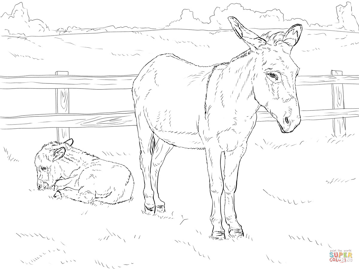 Ausmalbilder Tierbabys
 Ausmalbild Esel mit Fohlen