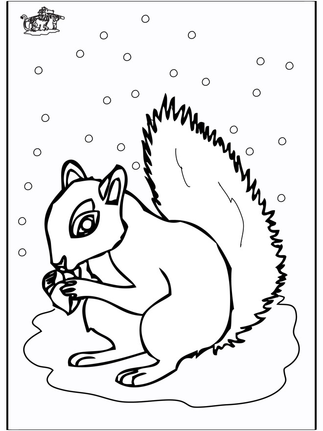Ausmalbilder Tiere Im Winter
 Eichhörnchen 5 Malvorlagen Na iere