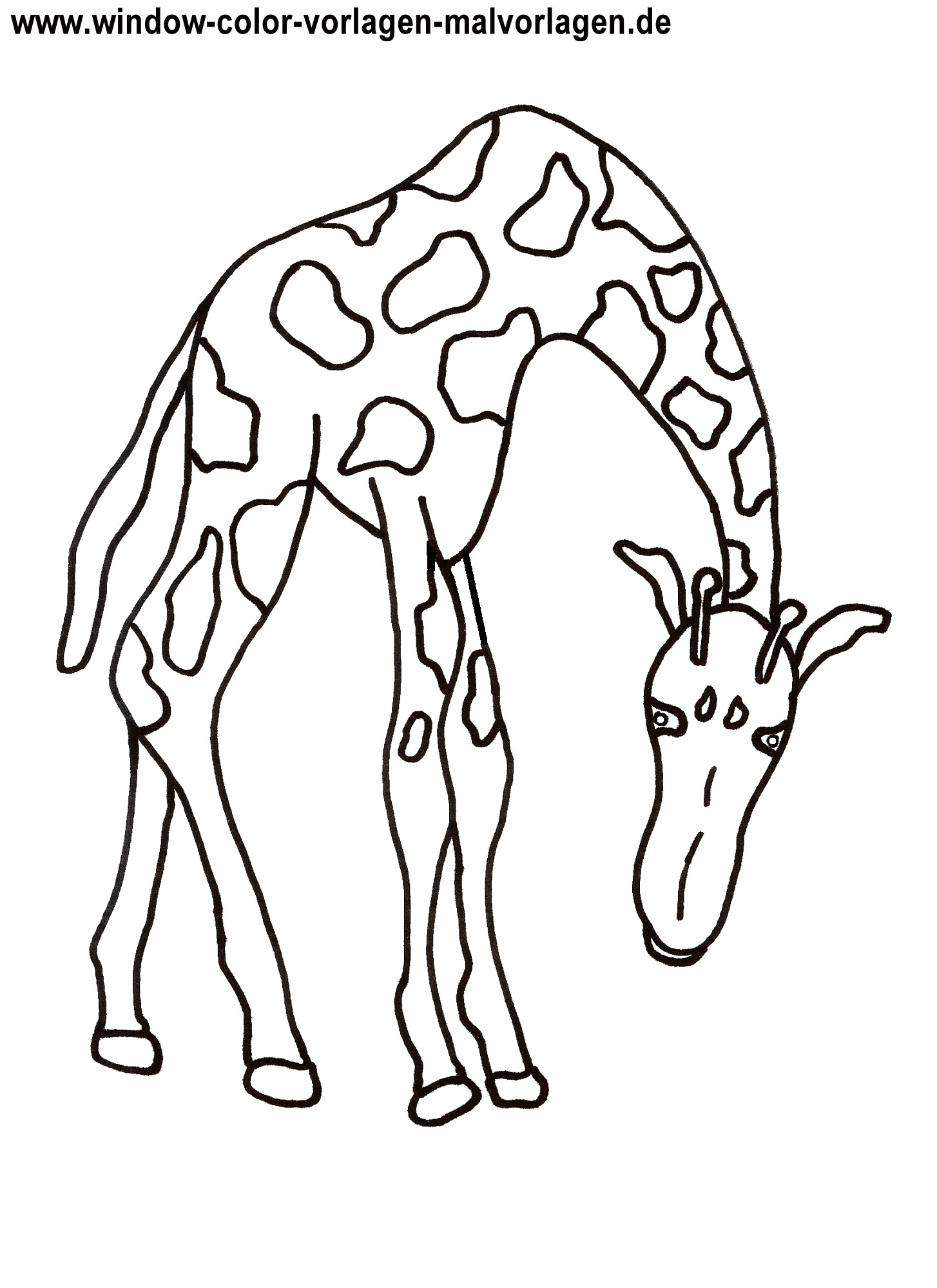 Ausmalbilder Tiere Zum Ausdrucken
 Ausmalbilder giraffe kostenlos Malvorlagen zum