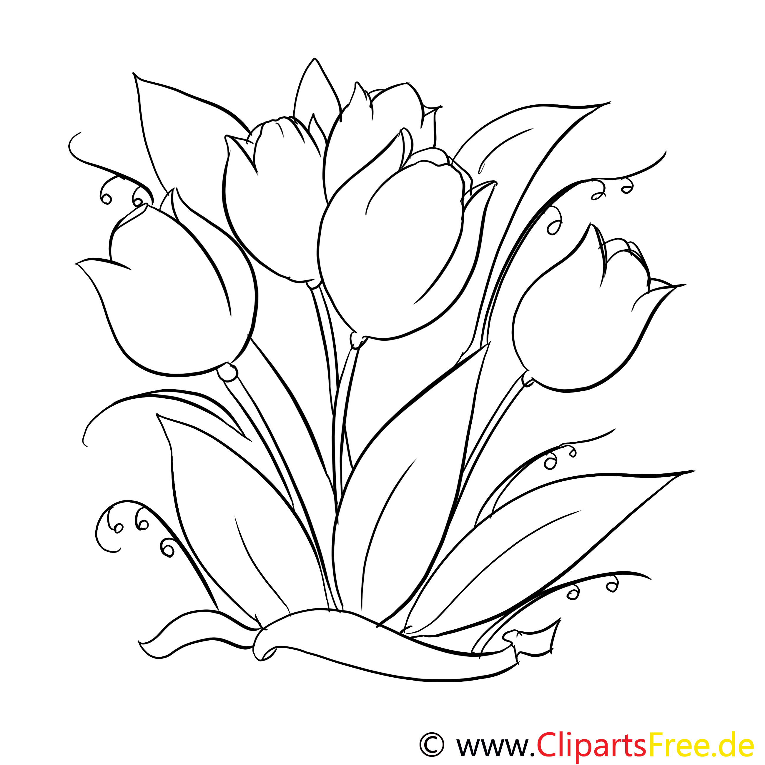 Ausmalbilder Tulpen
 Tulpen Malvorlage gratis
