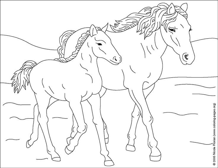 Ausmalbilder Wildpferde
 385 besten Adult Coloring Pages Horses Bilder auf