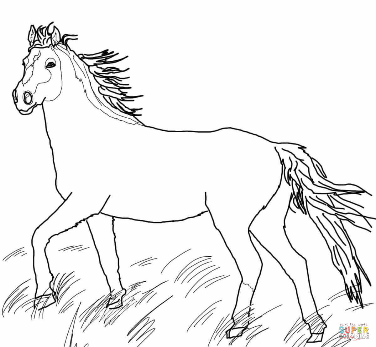 Ausmalbilder Wildpferde
 Mustang Wild Horse coloring page