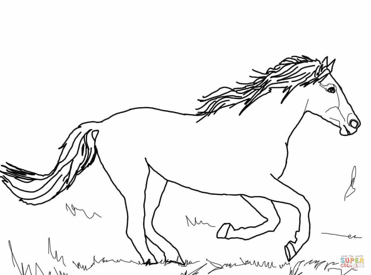 Ausmalbilder Wildpferde
 Wild Horse Running Coloring Page Coloring Pages