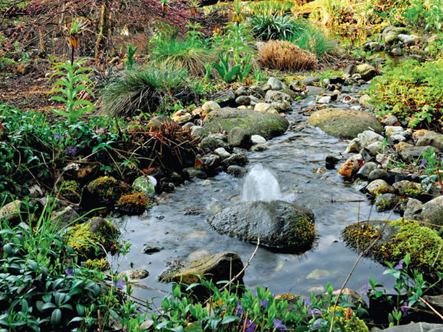 Bachlauf Garten
 Bachlauf anlegen Gartengestaltung