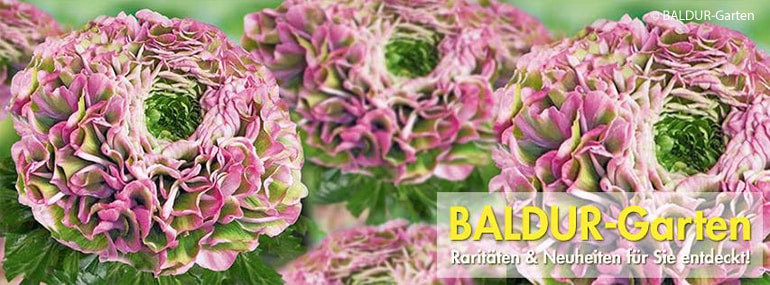 Baldur Garten Gutschein
 BALDUR Garten Gutschein 4€ Rabatt im Nov 2018