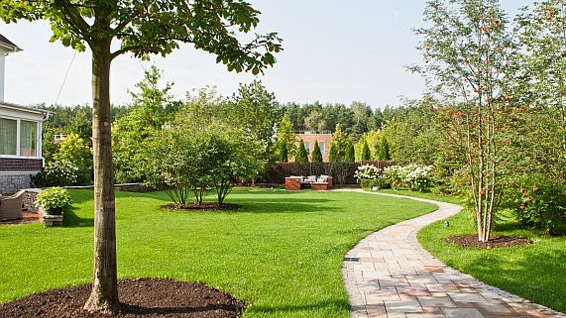 Baum Für Garten
 Kleine Bäume für den kleinen Garten – Ratgeber