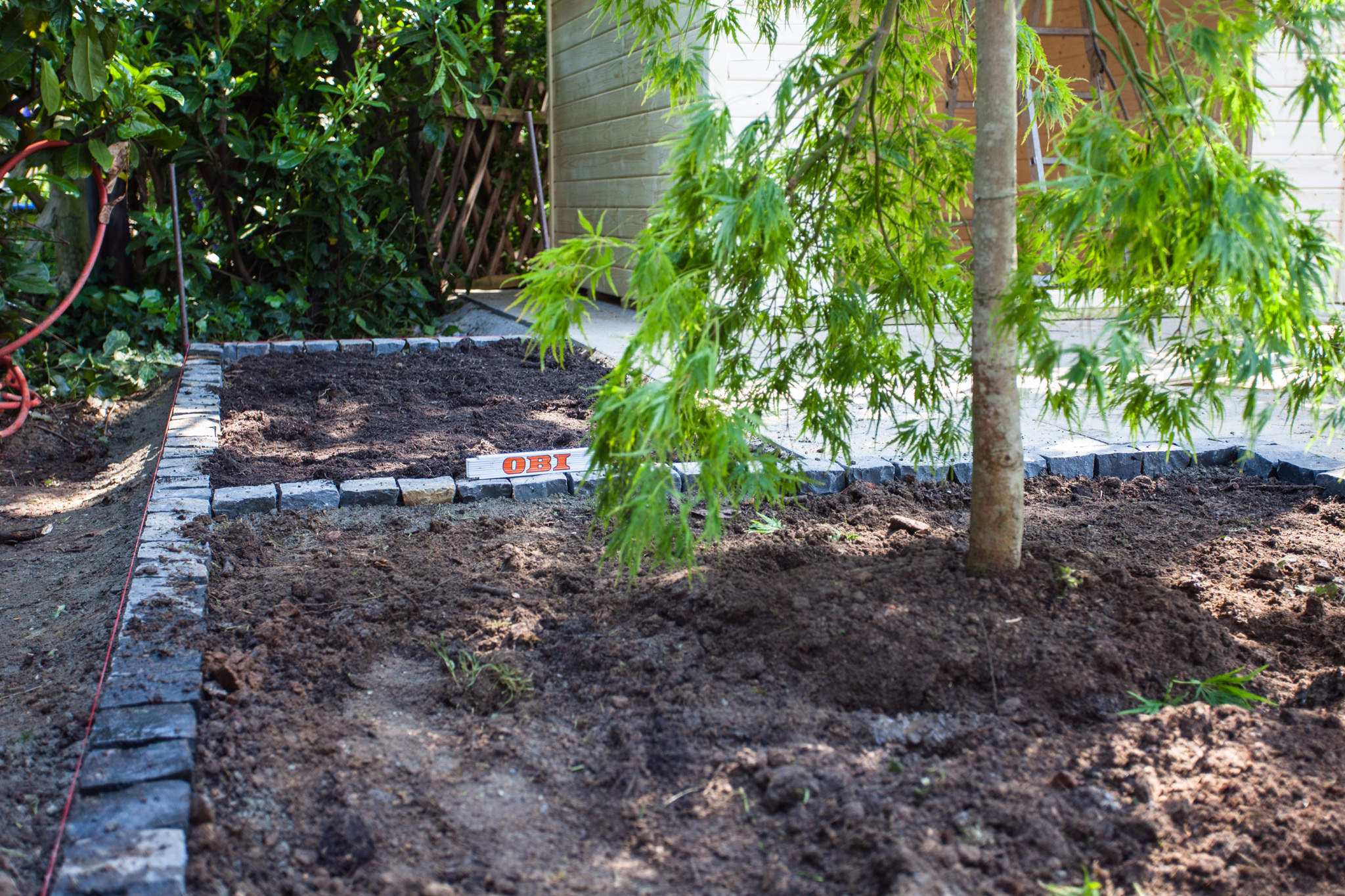 Baum Für Garten
 Baum pflanzen in 6 Schritten