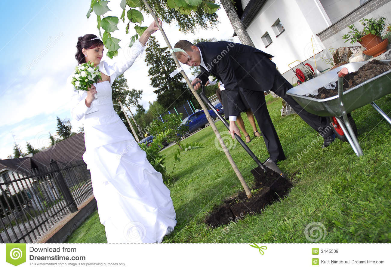 Baum Pflanzen Hochzeit
 Hochzeitspaare Die Baum Pflanzen Lizenzfreie Stockfotos