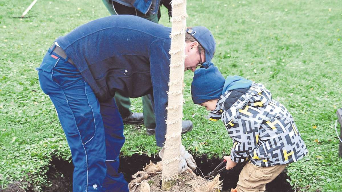 Baum Pflanzen Hochzeit
 Zur Hochzeit einen Baum pflanzen