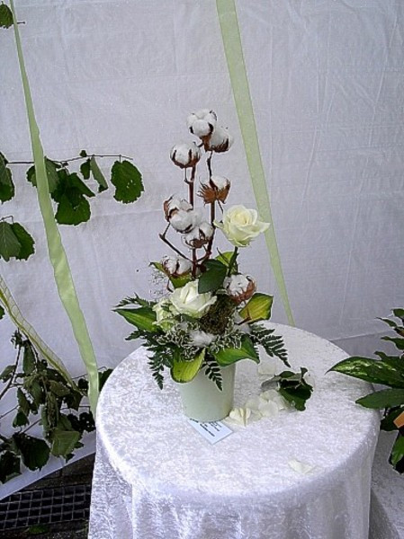 Baumwollene Hochzeit
 Tanja s Blumenstube Blumen & Floristik in Stuttgart