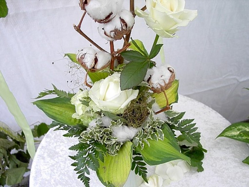 Baumwollene Hochzeit
 Tanja s Blumenstube Blumen & Floristik in Stuttgart