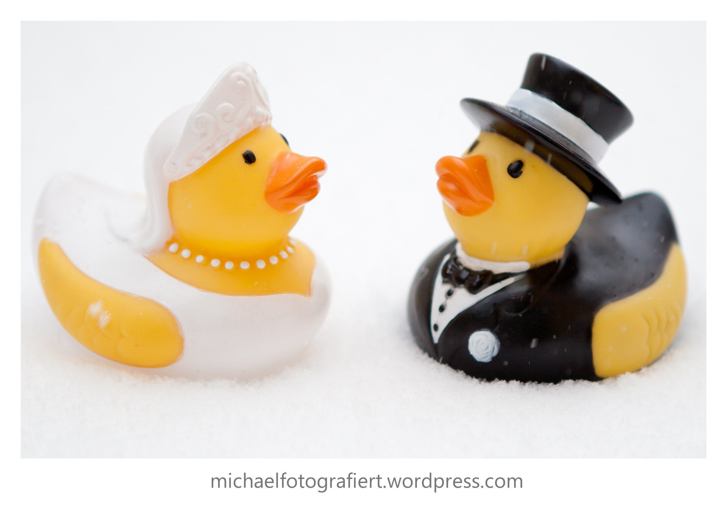 Besinnungstexte Hochzeit
 Hochzeit Enten