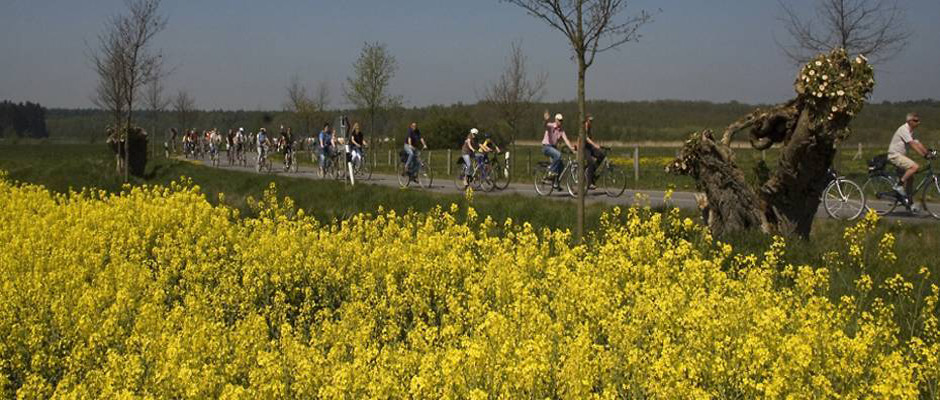 Bett Und Bike
 Bett & Bike Hotel am Schlosspark Güstrow