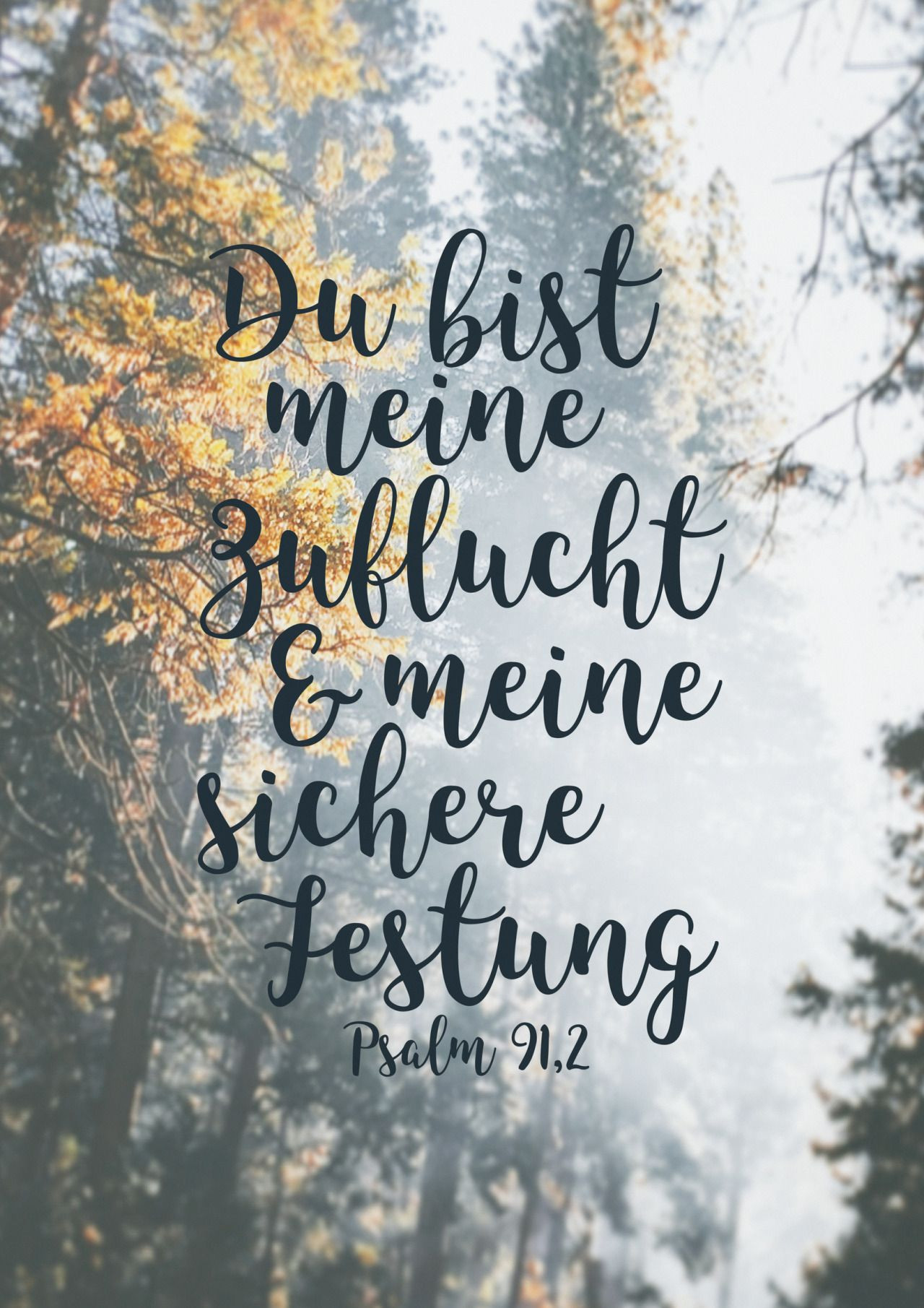 Bibelverse Hochzeit
 Du bist meine Zuflucht und meine sichere Festung Psalm 91