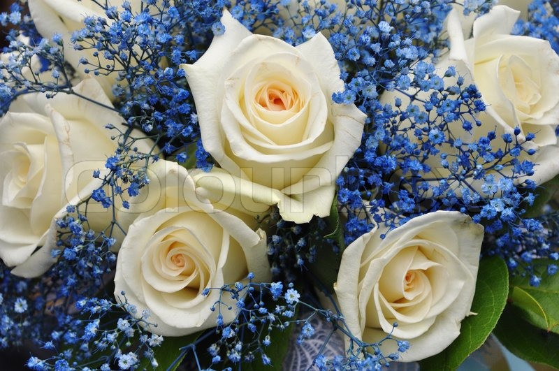 Blaue Blumen Hochzeit
 Hochzeit Bouquet mit weißen Rosen und blauen Blumen