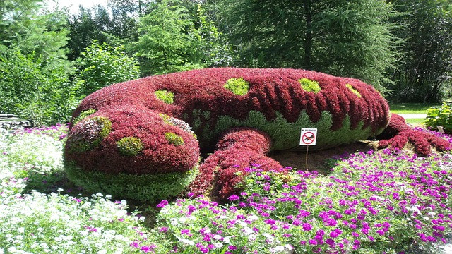 Blumen Garten
 Blumen garten pflanzen salamander