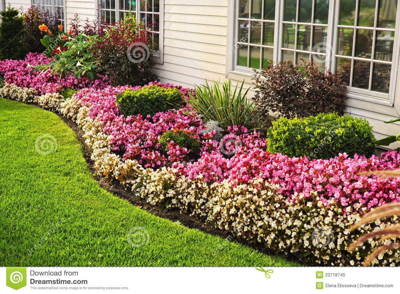 Blumen Garten
 Bunter Blumengarten stockbild Bild von gartenbau schön