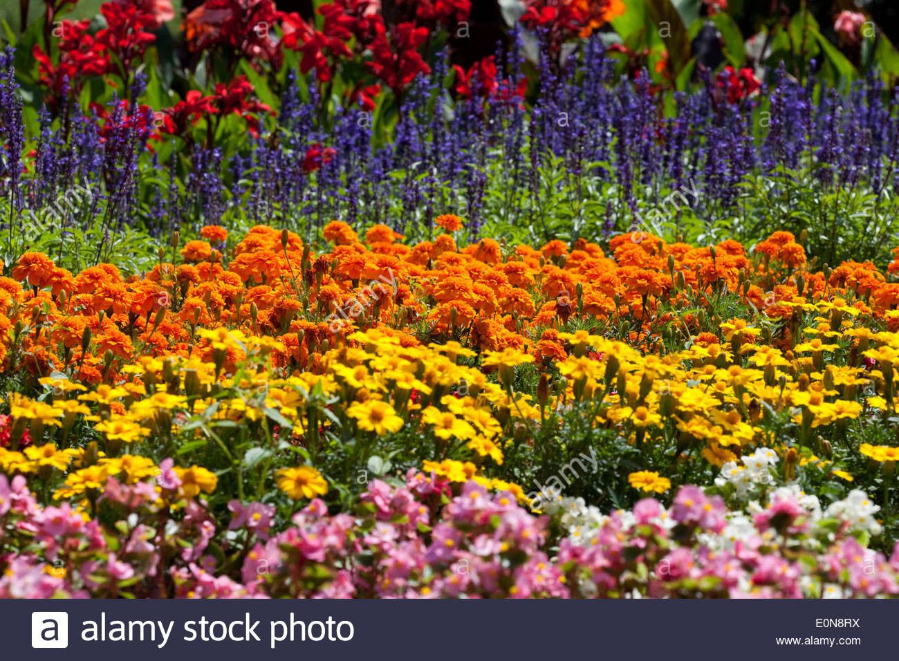 Blumen Garten
 Blumengarten flower garden Stock Alamy