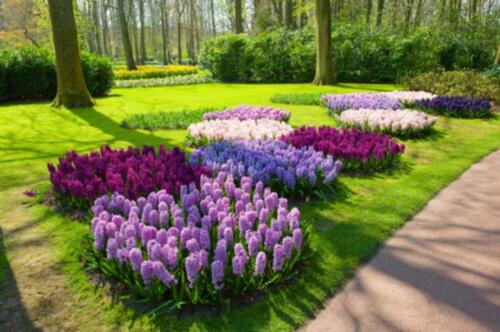 Blumen Garten
 Kostenlose Bodenanalyse Bodenprobe für Rasen Blumen