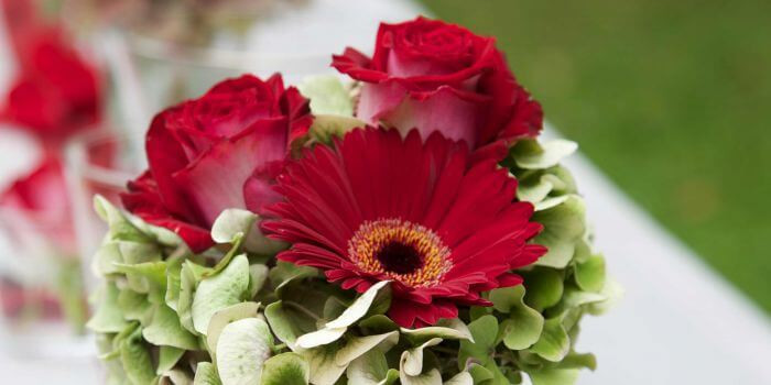 Blumen Zur Hochzeit
 Blumen zur Hochzeit