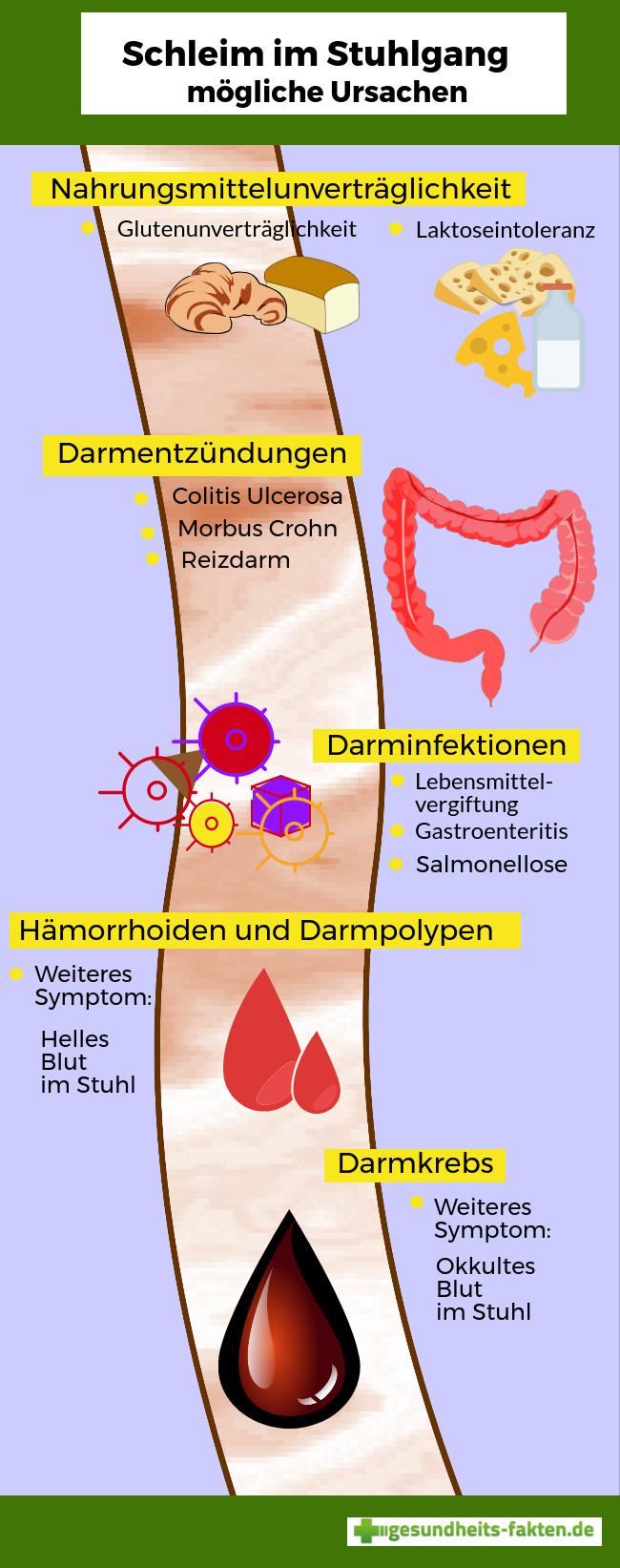 Blut Im Stuhl Ursachen
 Schleim im Stuhl Ursachen und Gegenmaßnahmen