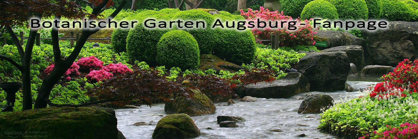 Botanischer Garten Augsburg
 Botanischer Garten Augsburg – Fanpage – Fotos aus dem