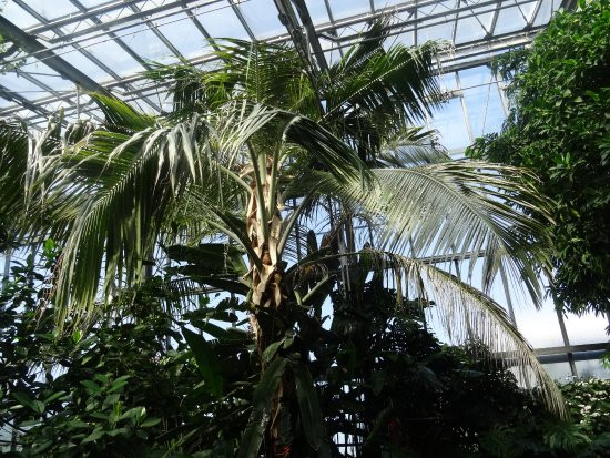 Botanischer Garten Bayreuth
 Stromtankstelle beim Ökologisch Botanischen Garten der