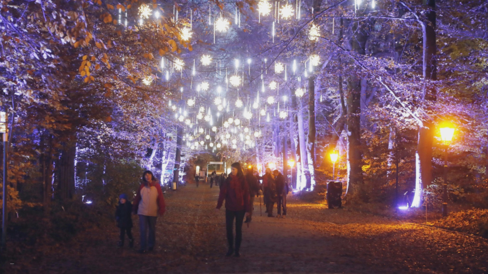 Botanischer Garten Berlin Weihnachten
 Christmas Garden Botanischer Garten Berlin