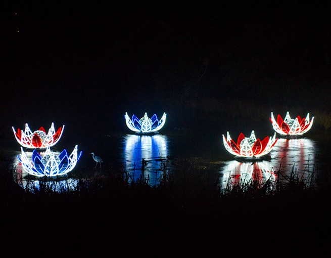 Botanischer Garten Berlin Weihnachten
 Weihnachten Botanischer Garten – bilder19