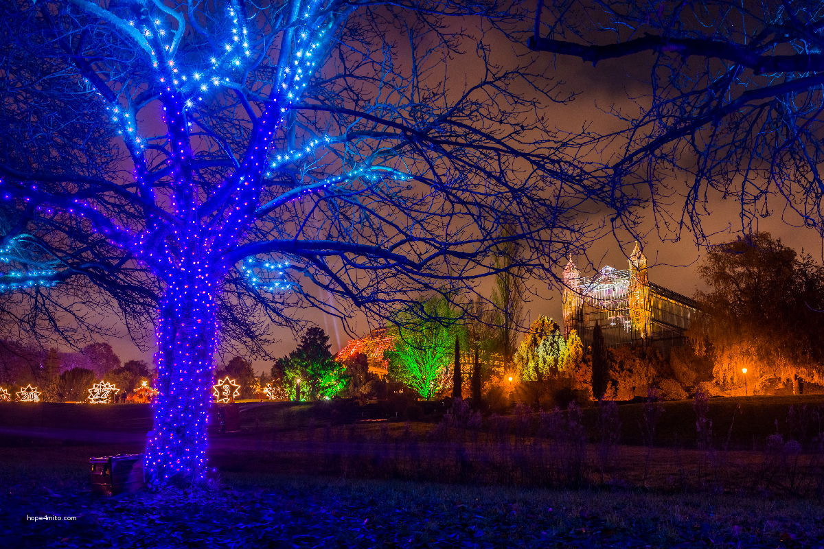 Botanischer Garten Berlin Weihnachten
 32 Elegant Botanischer Garten Lichtershow