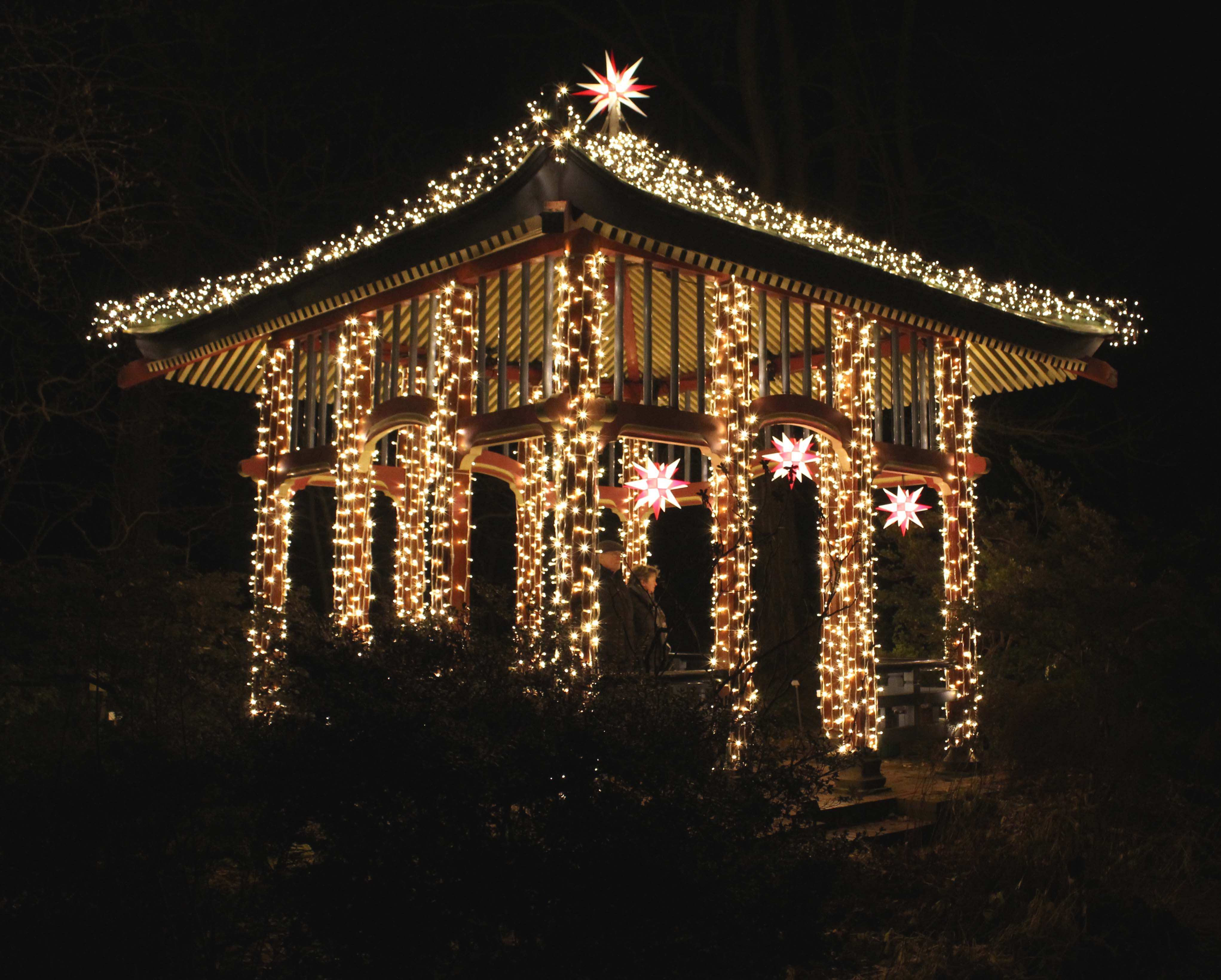 Botanischer Garten Berlin Weihnachten
 Weihnachten 2018 In Berlin Das Sind Die Großen Berliner