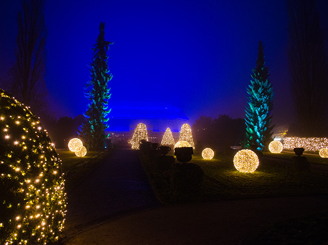 Botanischer Garten Berlin Weihnachten
 Weihnachten Botanischer Garten – bilder19