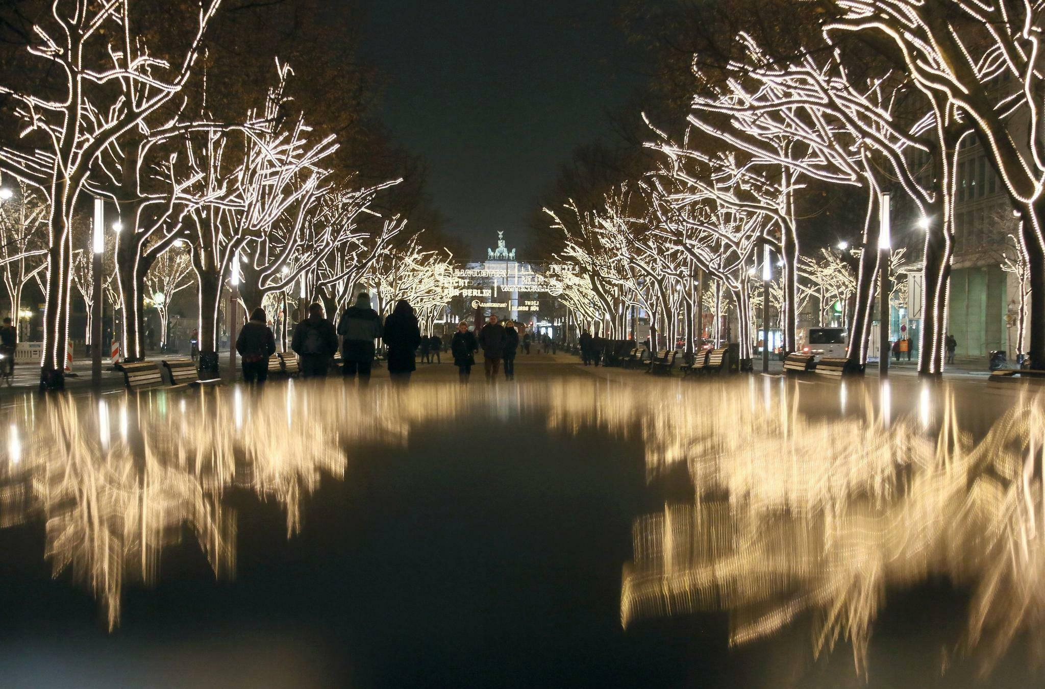 Botanischer Garten Berlin Weihnachten
 Botanischer Garten Berlin Die ersten Lichtlein brennen