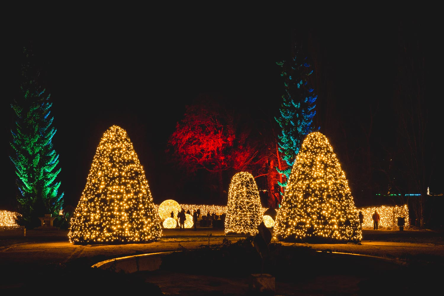 Botanischer Garten Berlin Weihnachten
 Weihnachten 2018 In Berlin Das Sind Die Großen Berliner