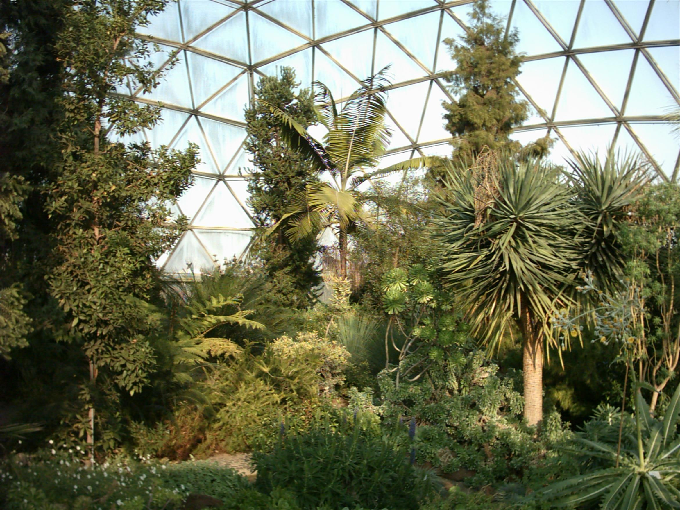 Botanischer Garten Düsseldorf
 Botanischer Garten Düsseldorf