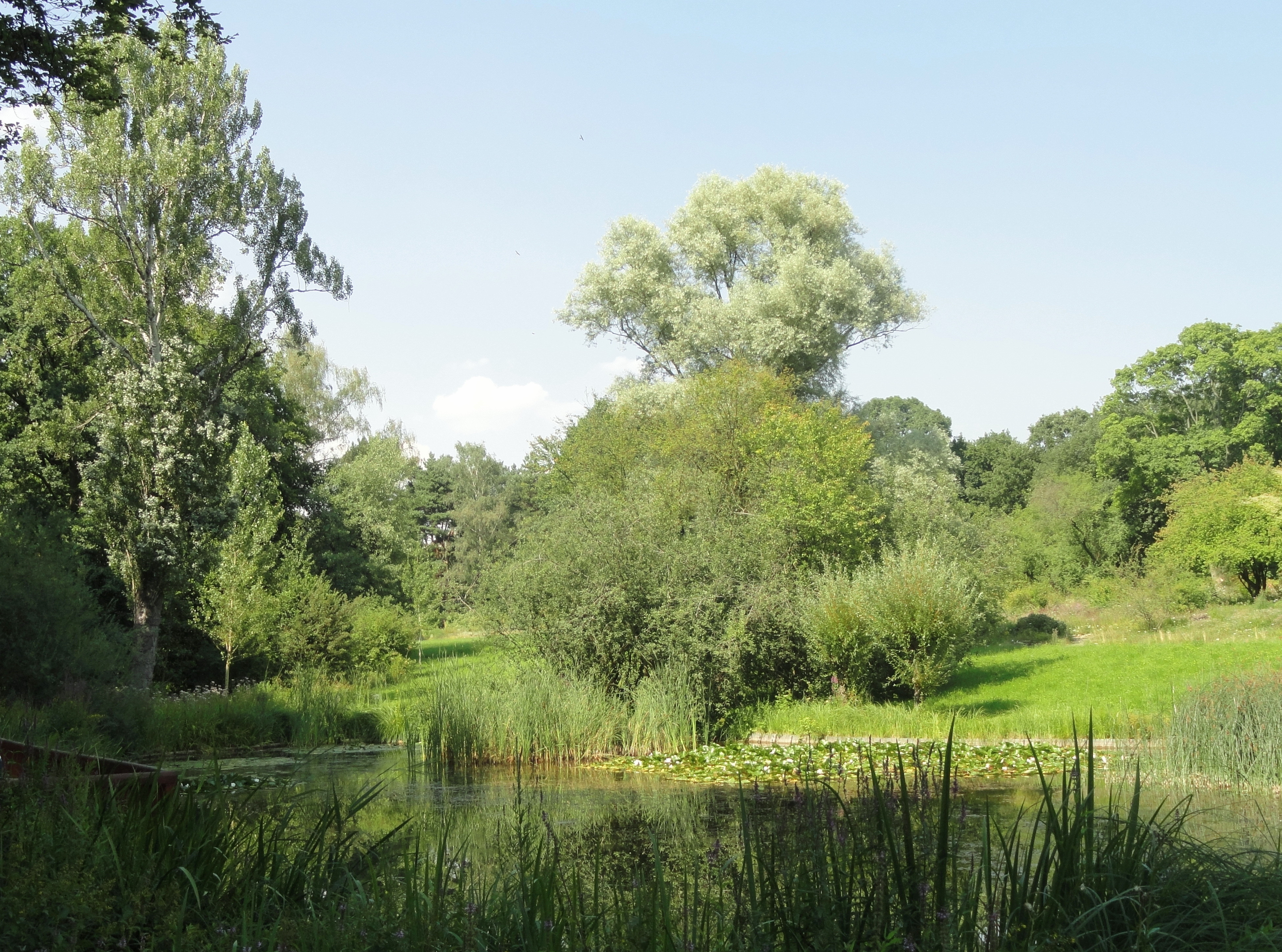 Botanischer Garten Frankfurt
 File Botanischer Garten Frankfurt am Main DSC JPG