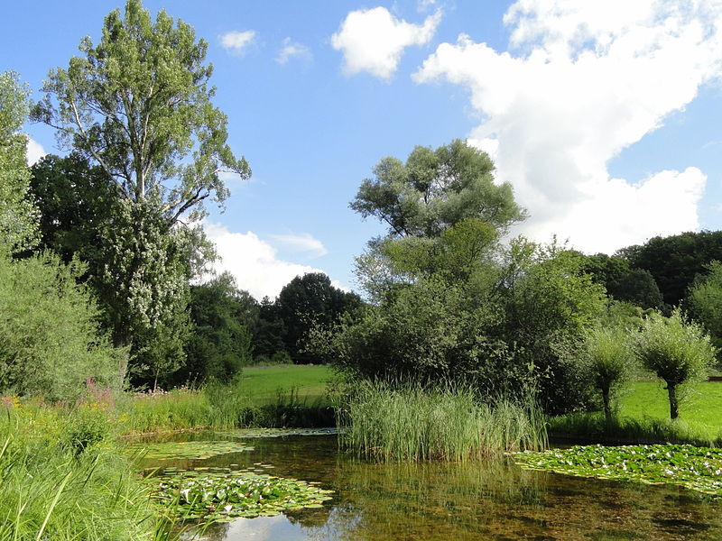 Botanischer Garten Frankfurt
 File Botanischer Garten Frankfurt am Main DSC JPG