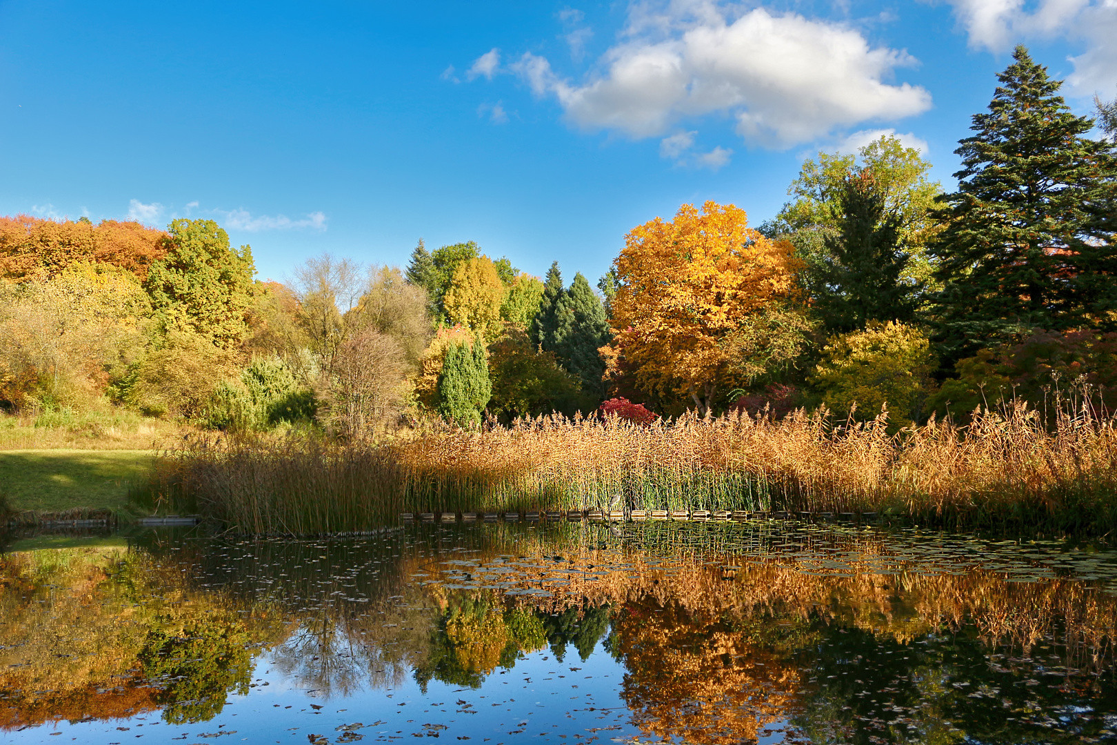 Botanischer Garten Frankfurt
 Botanischer Garten Frankfurt am Main Foto & Bild