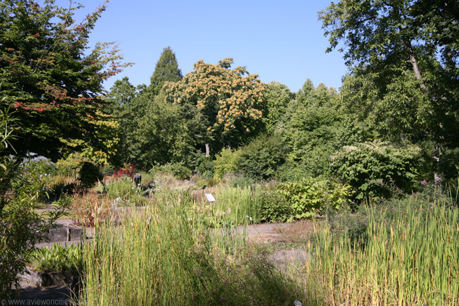 Botanischer Garten Frankfurt
 Botanischer Garten Frankfurt