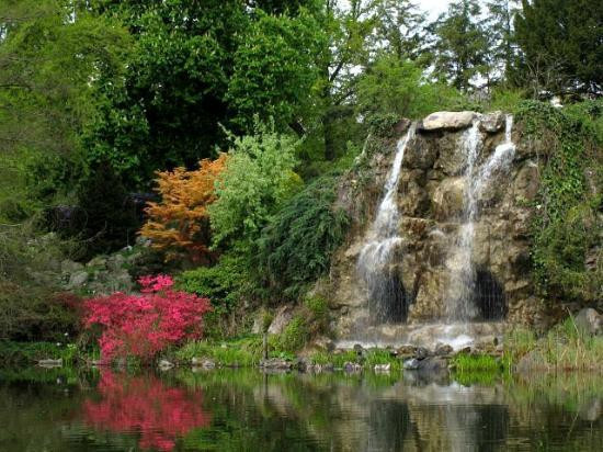 Botanischer Garten Frankfurt
 Wasserfall am Steingarten Bild von Palmengarten und