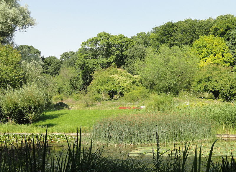 Botanischer Garten Frankfurt
 File Botanischer Garten Frankfurt am Main DSC JPG