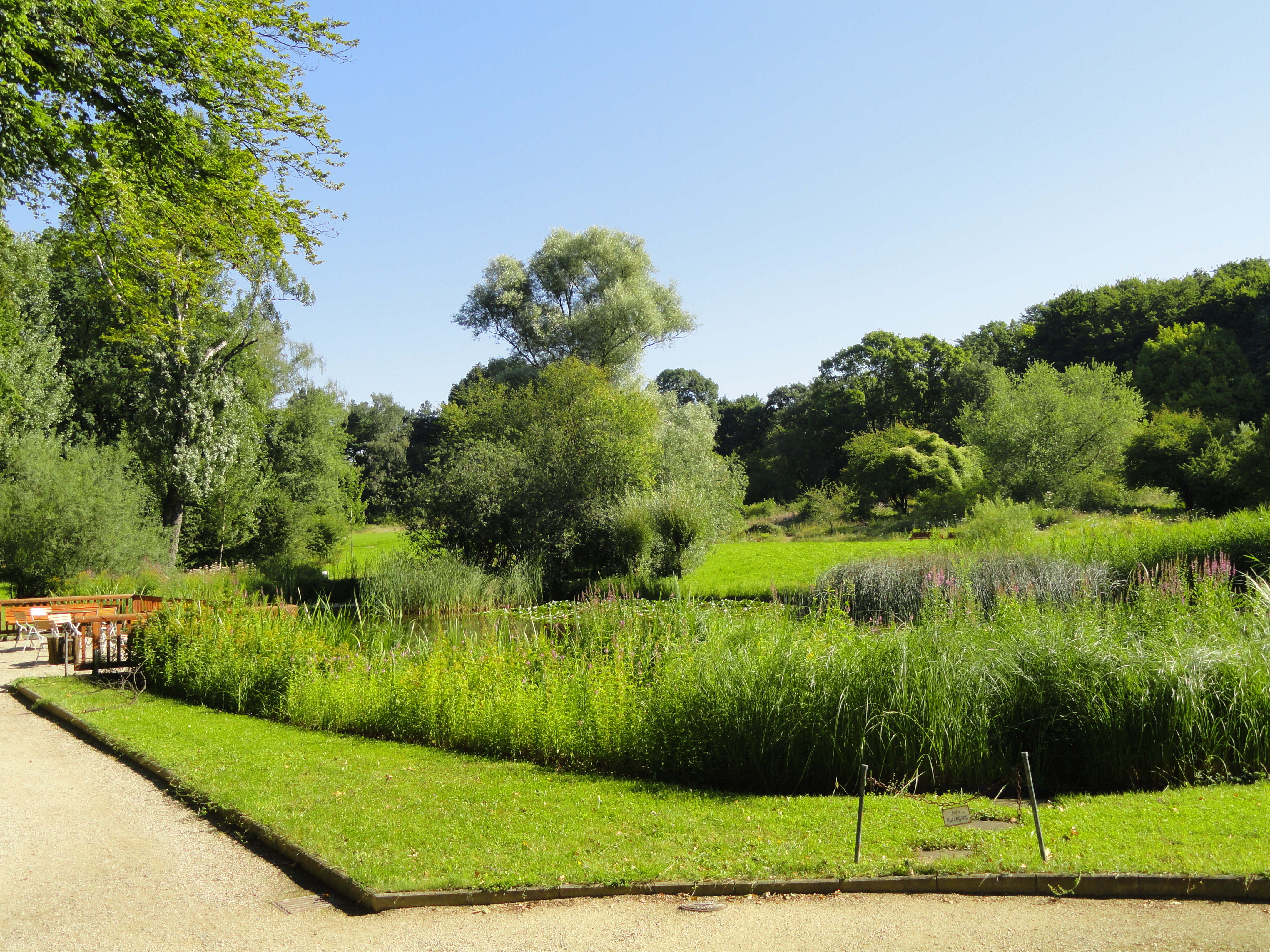 Botanischer Garten Frankfurt
 File Botanischer Garten Frankfurt am Main DSC JPG