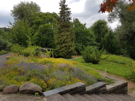 Botanischer Garten Frankfurt
 Botanischer Garten Frankfurt Oder Aktuelle 2019