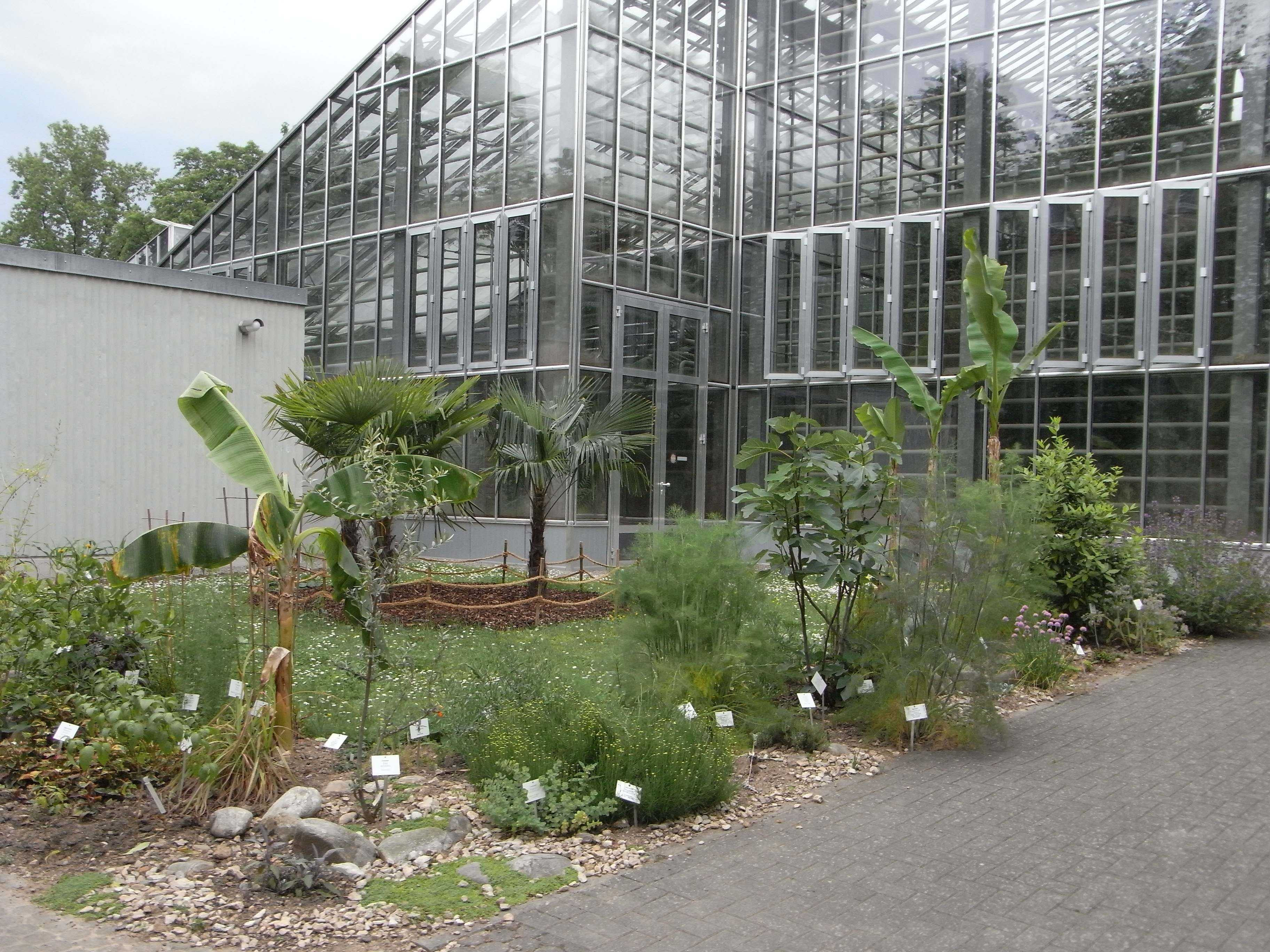 Botanischer Garten Freiburg
 Nutzpflanzen im Botanischen Garten Freiburg — Botanischer