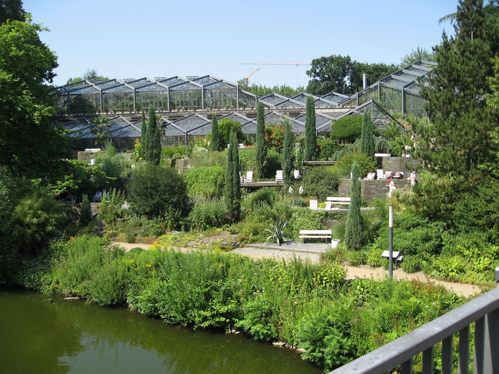 Botanischer Garten Hamburg
 Los mejores lugares para visitar en Hamburgo Guia de