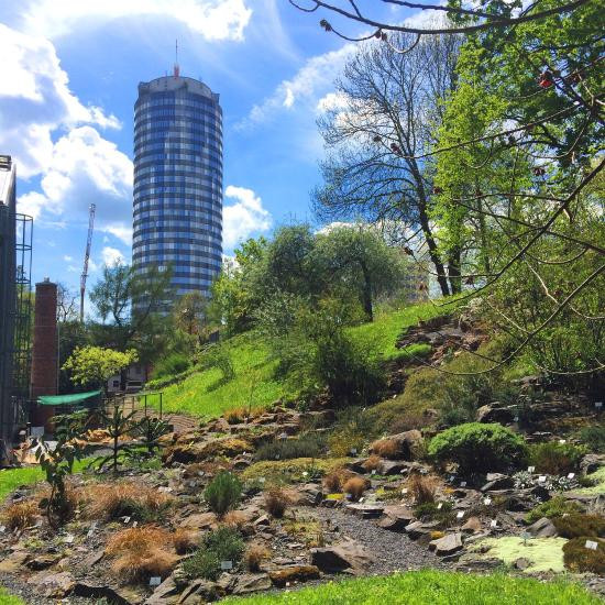 Botanischer Garten Jena
 Botanischer Garten Jena Aktuelle 2017 Lohnt es sich