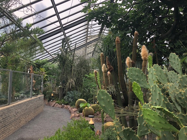 Botanischer Garten Jena
 Ein Spaziergang durchs Para s Botanische Gärten mit